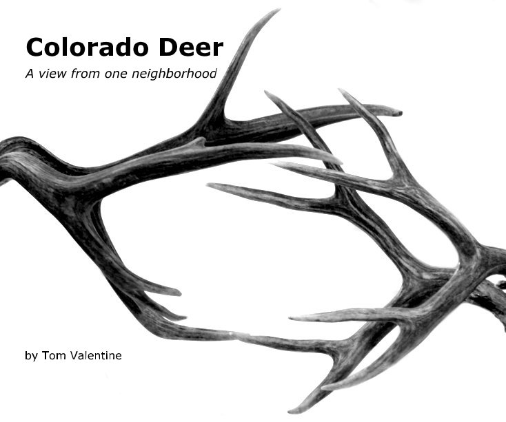 Ver Colorado Deer (10x8) por Tom Valentine