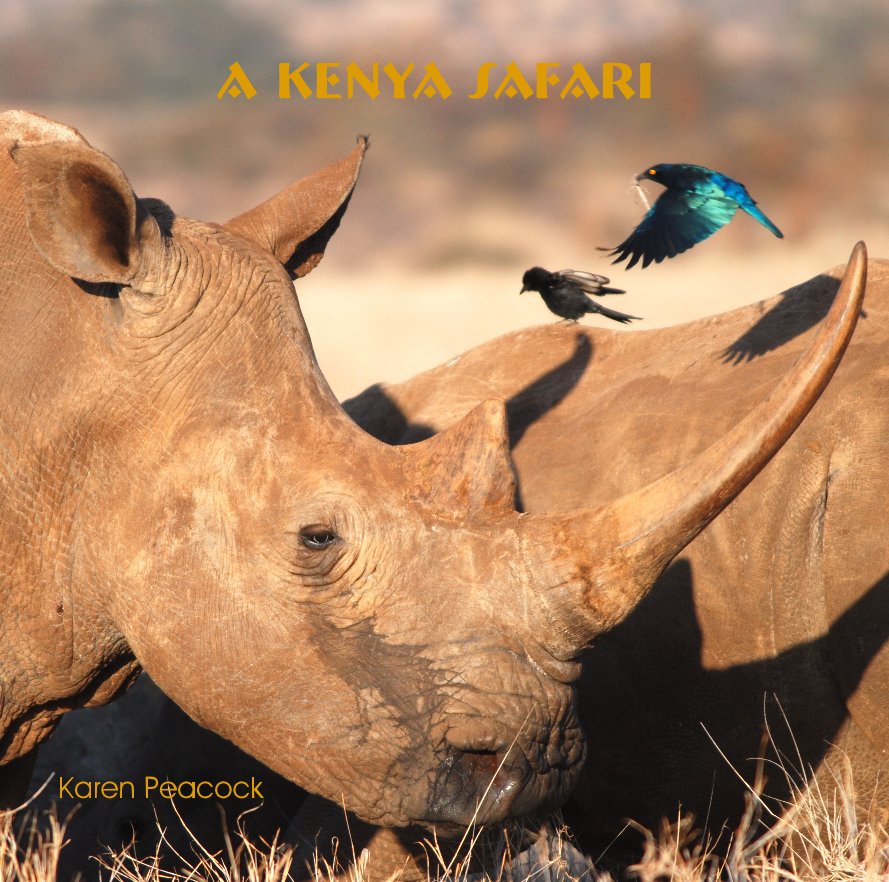 View A Kenya Safari by Karen Peacock