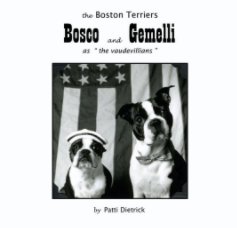 Bosco and Gemelli book cover