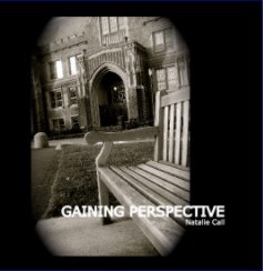 GAINING PERSPECTIVE book cover