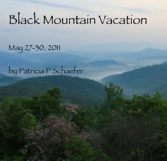 Black Mountain Vacation May 27-30, 2011 by Patricia P Schaefer book cover