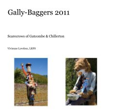 Gally-Baggers 2011 book cover