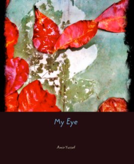 My Eye book cover