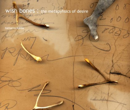 Wishbones : the metapyhsics of desire book cover