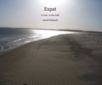 Expat book cover
