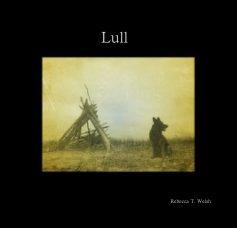 Lull book cover