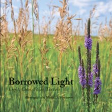 Borrowed Light (compact edition) book cover