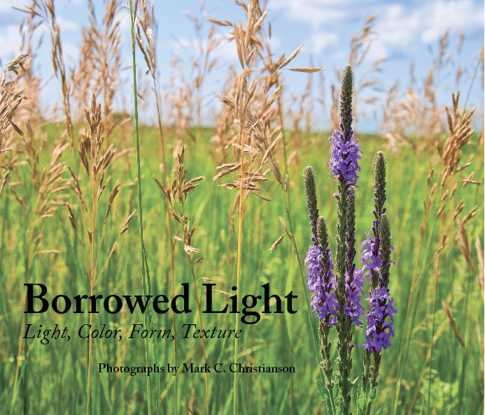 View Borrowed Light (paper) by Mark C. Christianson