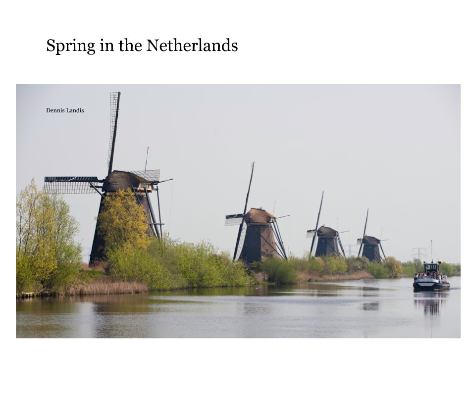 View Spring in the Netherlands by Dennis Landis