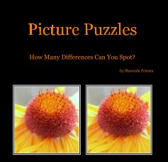 Picture Puzzles book cover