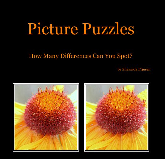 View Picture Puzzles by Shawnda Friesen