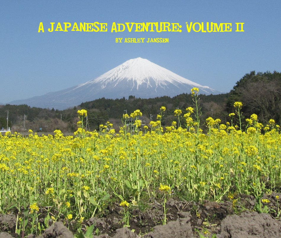 Visualizza A Japanese Adventure: Volume II di Ashley Janssen