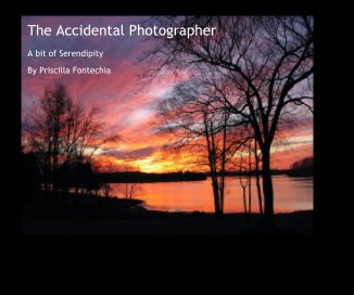 The Accidental Photographer book cover