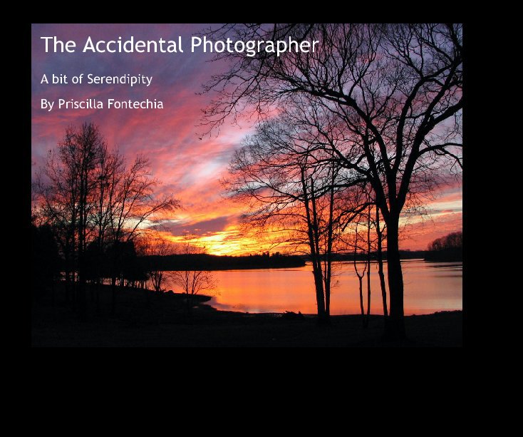 View The Accidental Photographer by Priscilla Fontechia