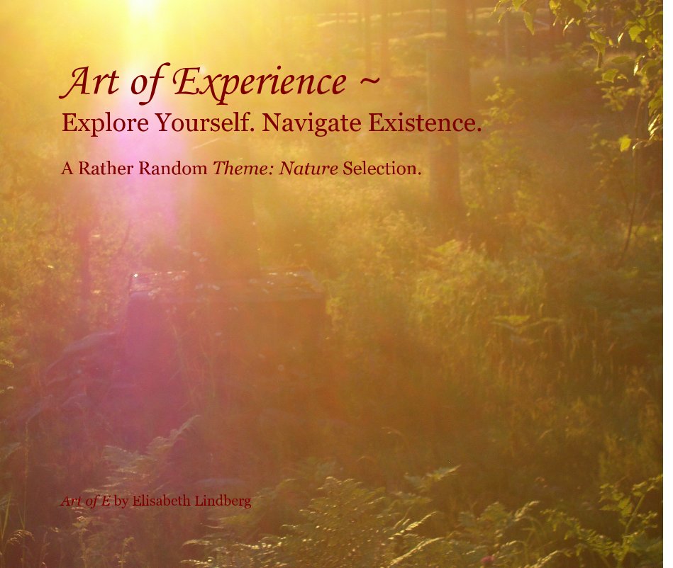 View (PDF version only) Art of Experience ~ Explore Yourself. Navigate Existence. by Art of E by Elisabeth Lindberg