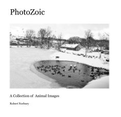 PhotoZoic book cover