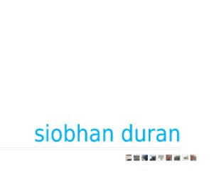 S Duran Portfolio book cover