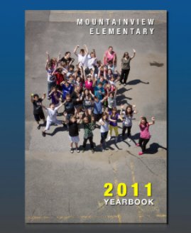 Mountainview book cover