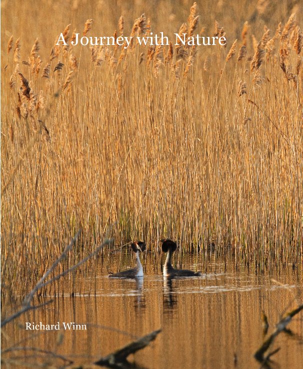 View A Journey with Nature by Richard Winn