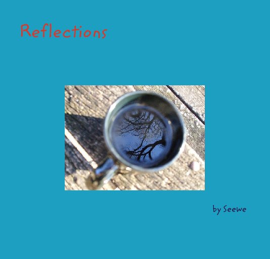 Visualizza Reflections di Seewe