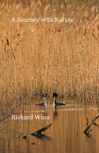 View A Journey with Nature by Richard Winn