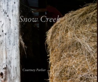 Snow Creek book cover