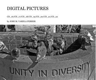 DIGITAL PICTURES book cover