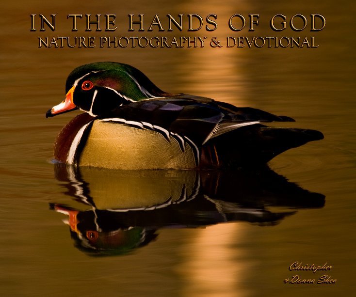 View IN THE HANDS OF GOD by CHRISTOPHER & DONNA  SHEA