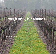 through my eyes volume 1 book cover