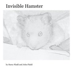 Invisible Hamster book cover