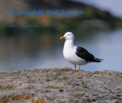 Visioni delle Isole Lofoten (maggio 2011) fotografie di Giuseppe Tavolaro book cover