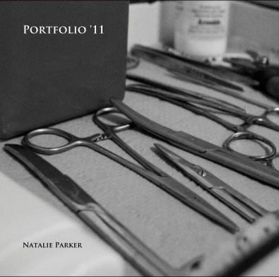 Portfolio '11 book cover