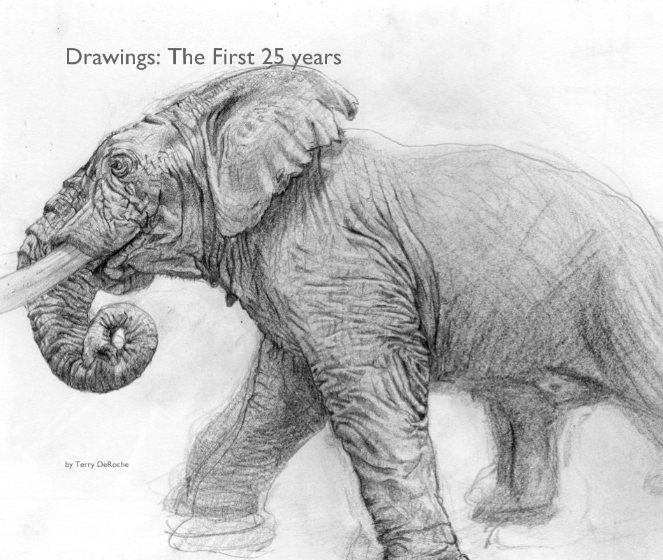 View Drawings: The First 25 years by Terry DeRoche