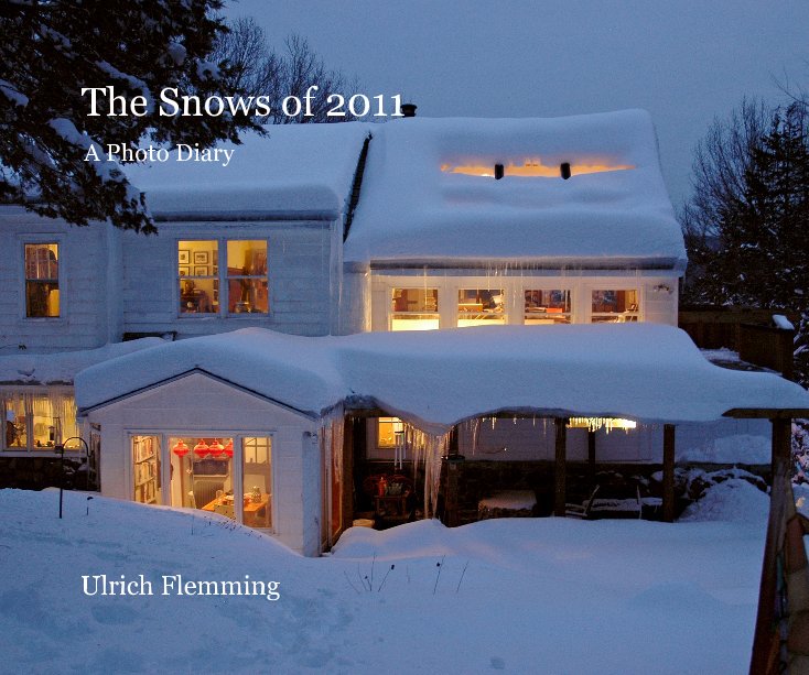 Visualizza The Snows of 2011 di Ulrich Flemming