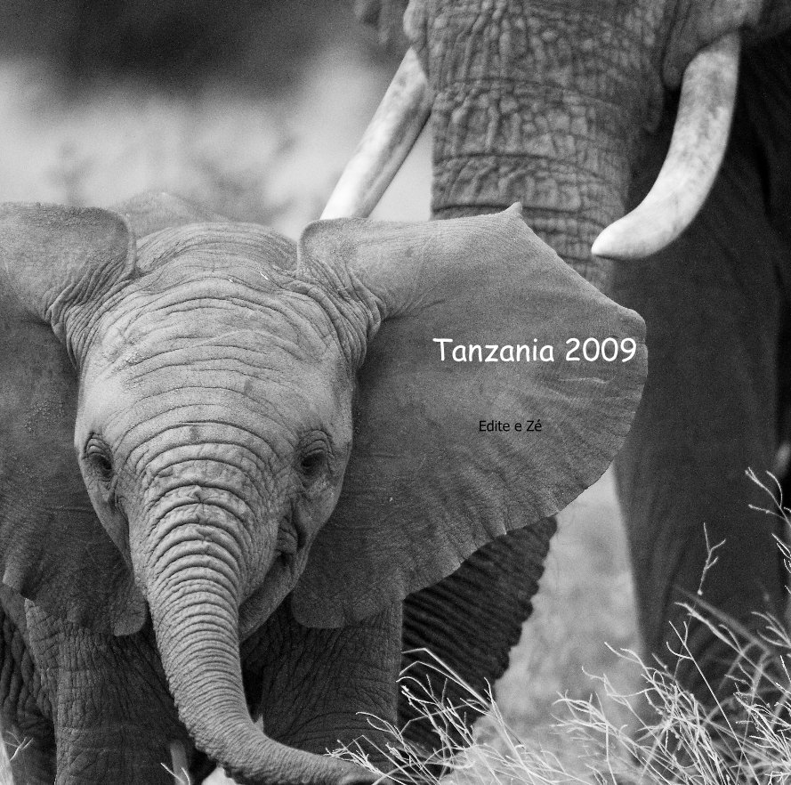 Ver Tanzania 2009 por editefil