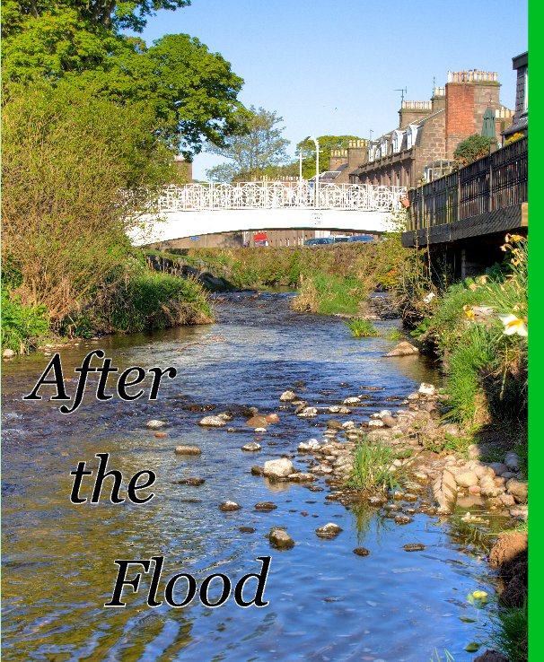View After the Flood by Ian Shewan