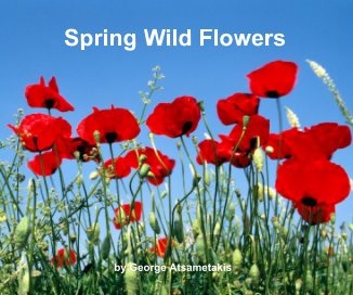 Spring Wild Flowers book cover