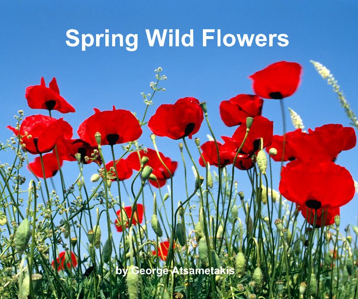 View Spring Wild Flowers by George Atsametakis