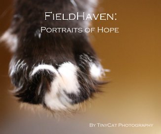 FieldHaven: Portraits of Hope By TinyCat Photography book cover