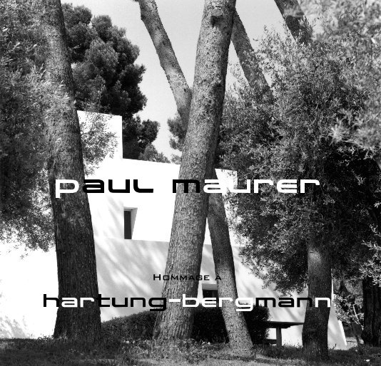 Visualizza Hartung-Bergmann di Paul Maurer