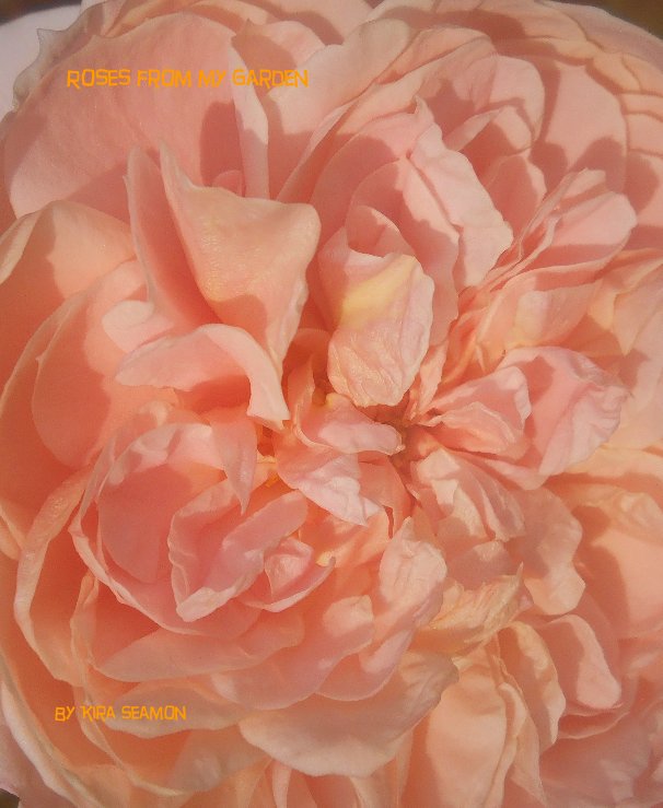 Ver Roses from my Garden por Kira Seamon