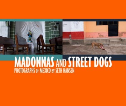 Madonnas and Street Dogs book cover