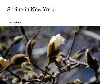 Spring in New York book cover