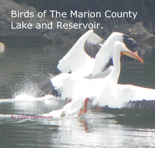Ver Birds of The Marion County Lake and Reservoir. por Galen Obermeyer