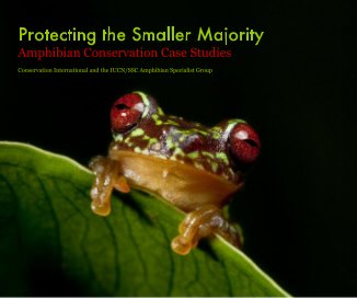 Protecting the Smaller Majority Amphibian Conservation Case Studies Conservation International and the IUCN/SSC Amphibian Specialist Group book cover