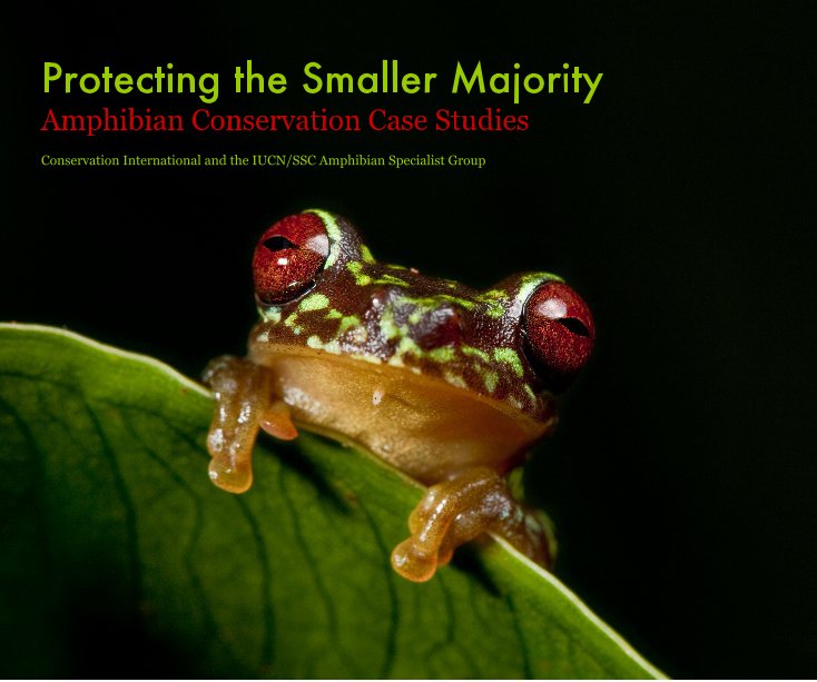 Ver Protecting the Smaller Majority Amphibian Conservation Case Studies Conservation International and the IUCN/SSC Amphibian Specialist Group por Robin Moore