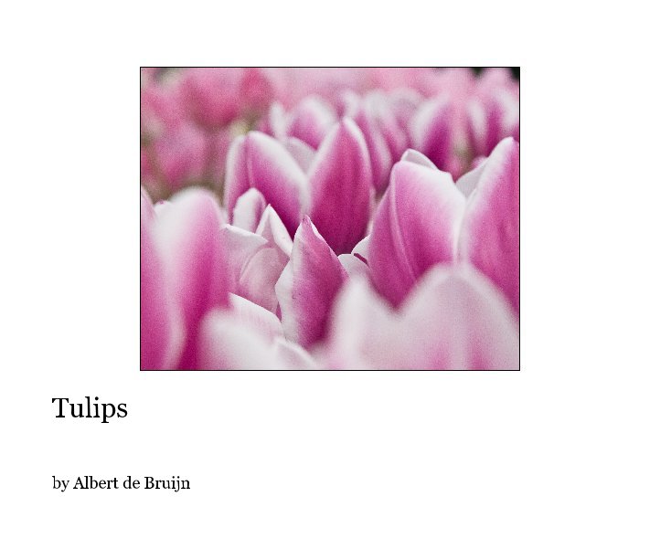 View Tulips by Albert de Bruijn
