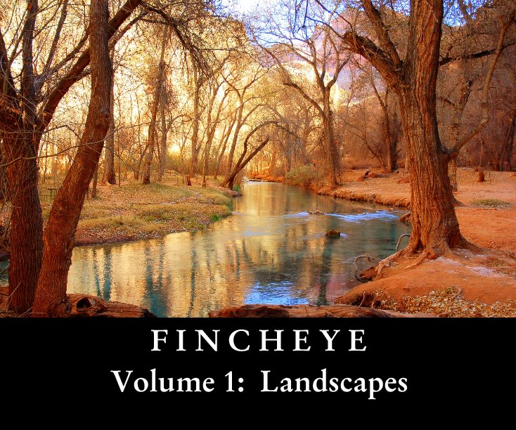 View F I N C H E Y E by John Finch
