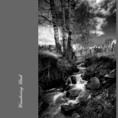 Wandering Utah book cover