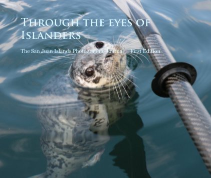 Through the Eyes of Islanders book cover